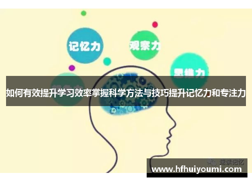 如何有效提升学习效率掌握科学方法与技巧提升记忆力和专注力