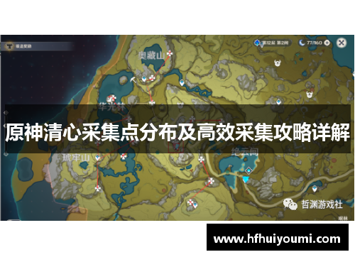 原神清心采集点分布及高效采集攻略详解