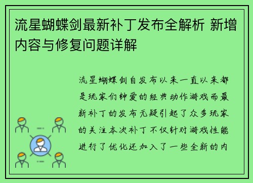 流星蝴蝶剑最新补丁发布全解析 新增内容与修复问题详解